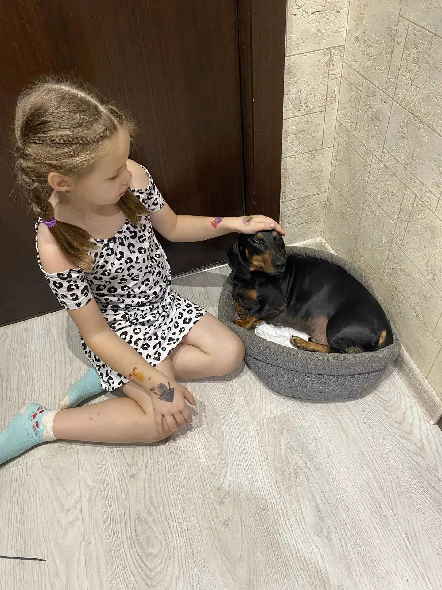 С любовью к братьям нашим меньшим! 🐾