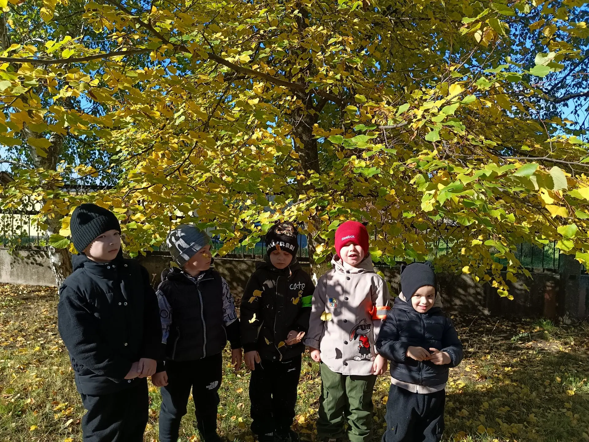 🍁Осень, Осень, в гости просим!»🍂🍁