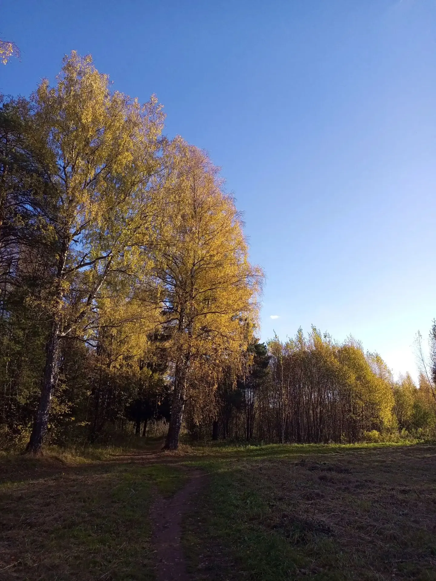 Фото: Герман Мирный