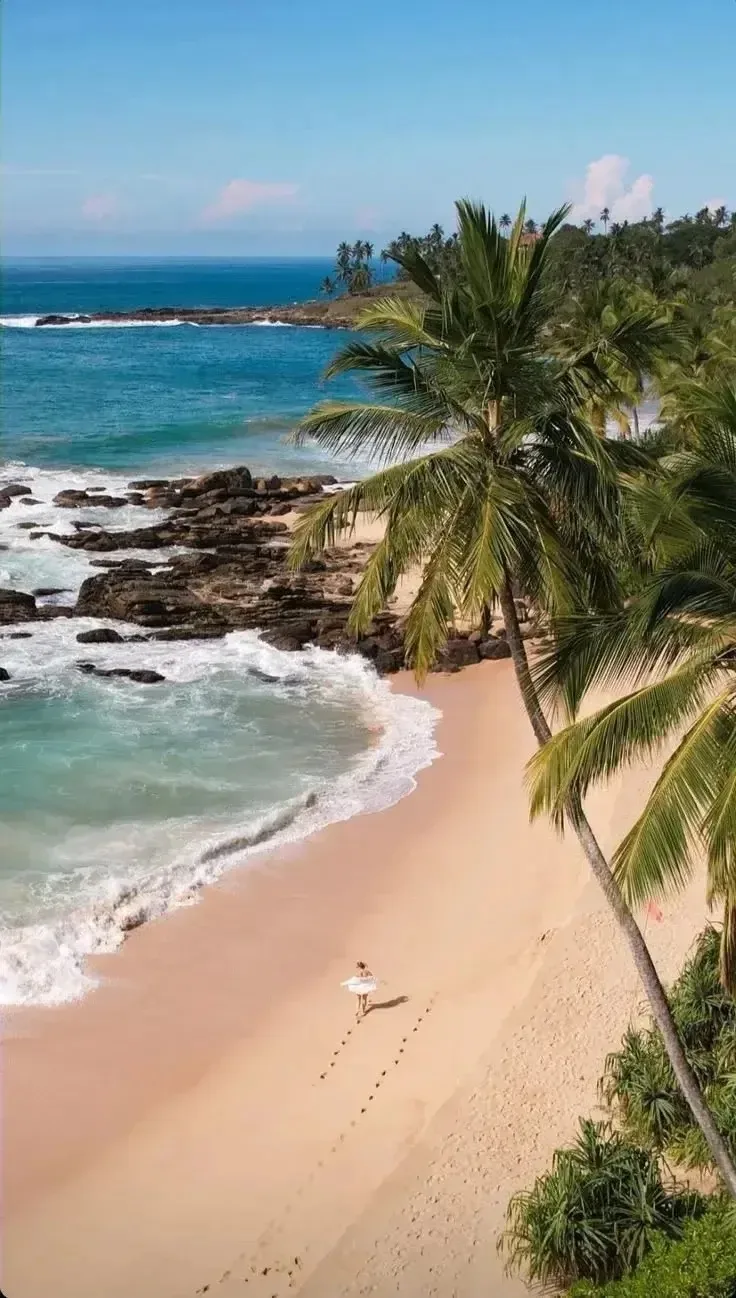 🏝 Шри-Ланка встречает высокий сезон!