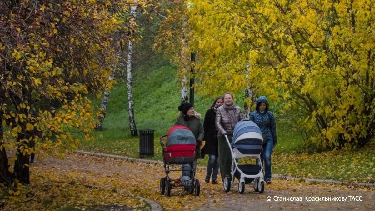 📃 Минфин предложил сохранить льготу по НДФЛ только на выплаты при рождении ребенка. Об...