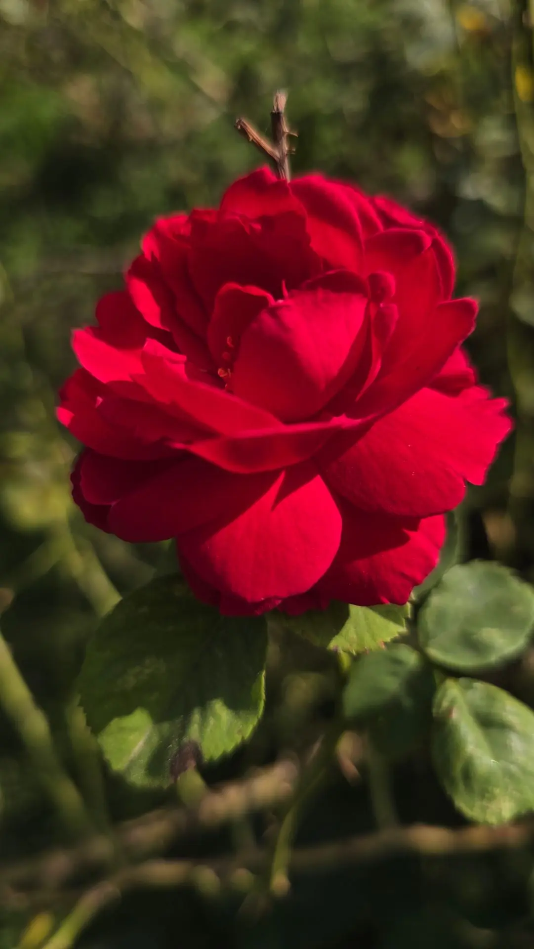 Фото