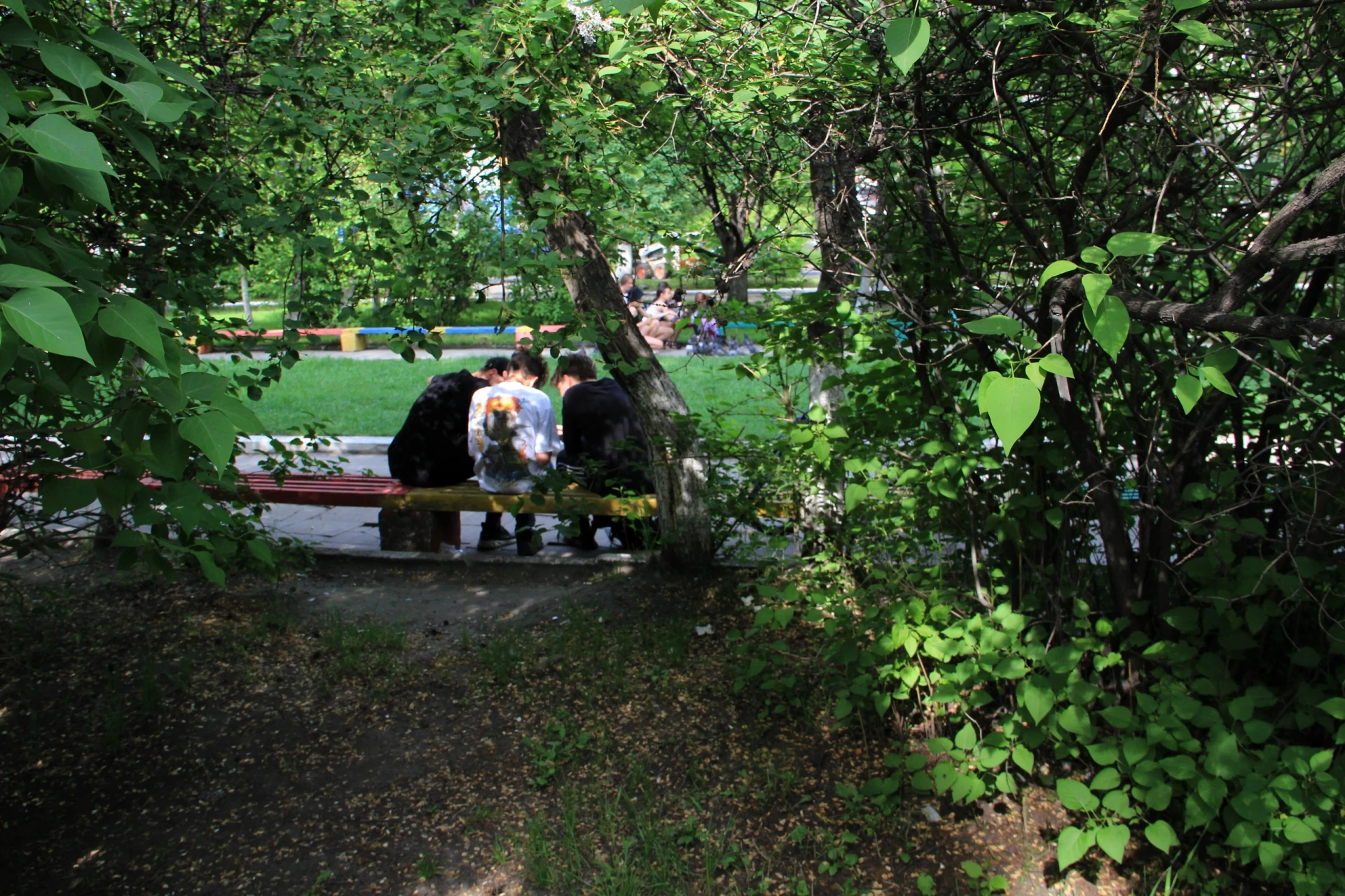В Братске подросток-курьер осужден за участие в телефонном мошенничестве.