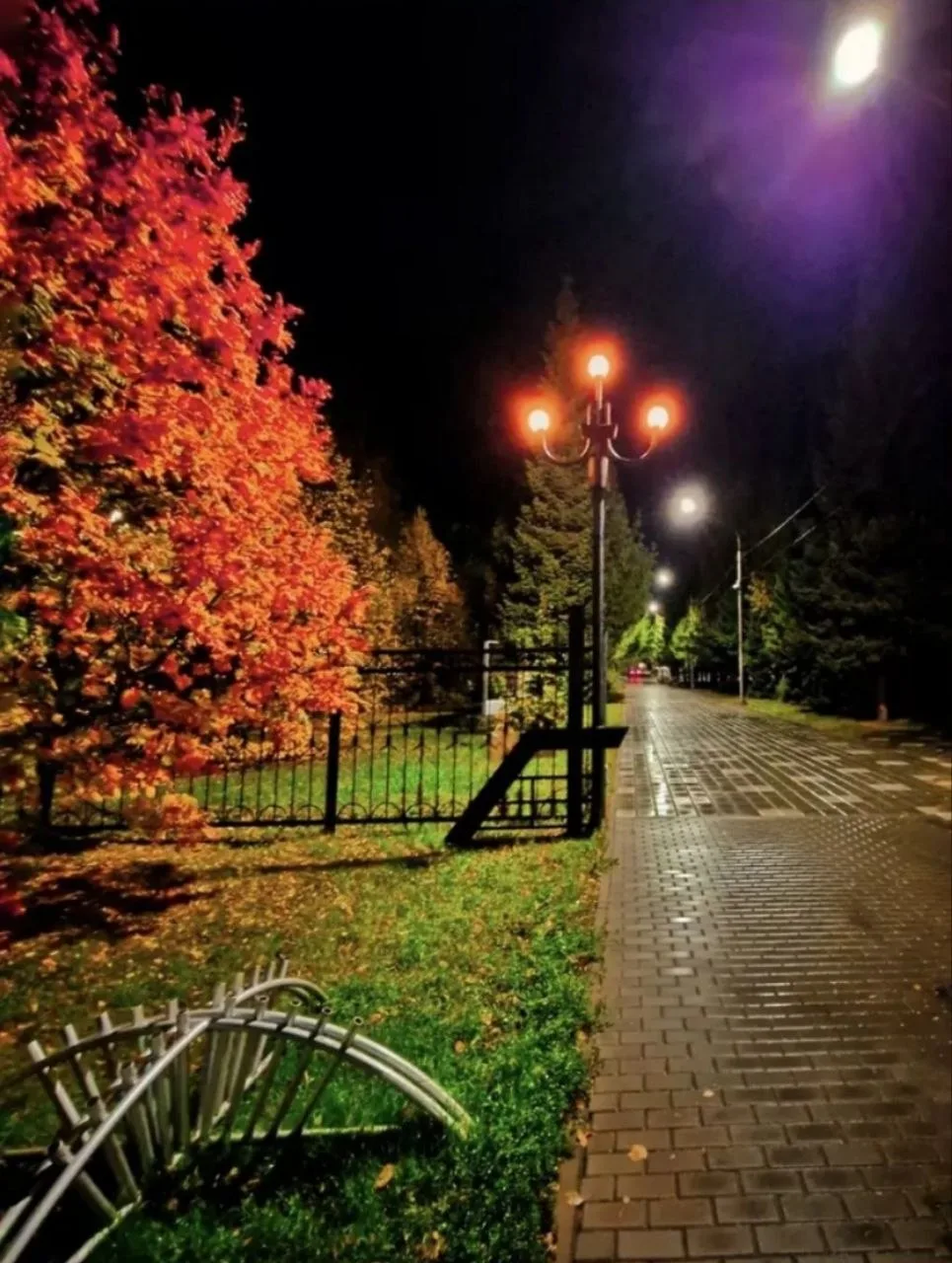 Доброй ночи, Рубцовск 😴🌛