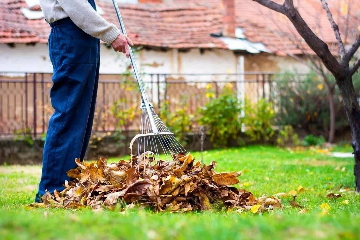 🍂 Готовим территорию к зиме: убираем листья и ветки