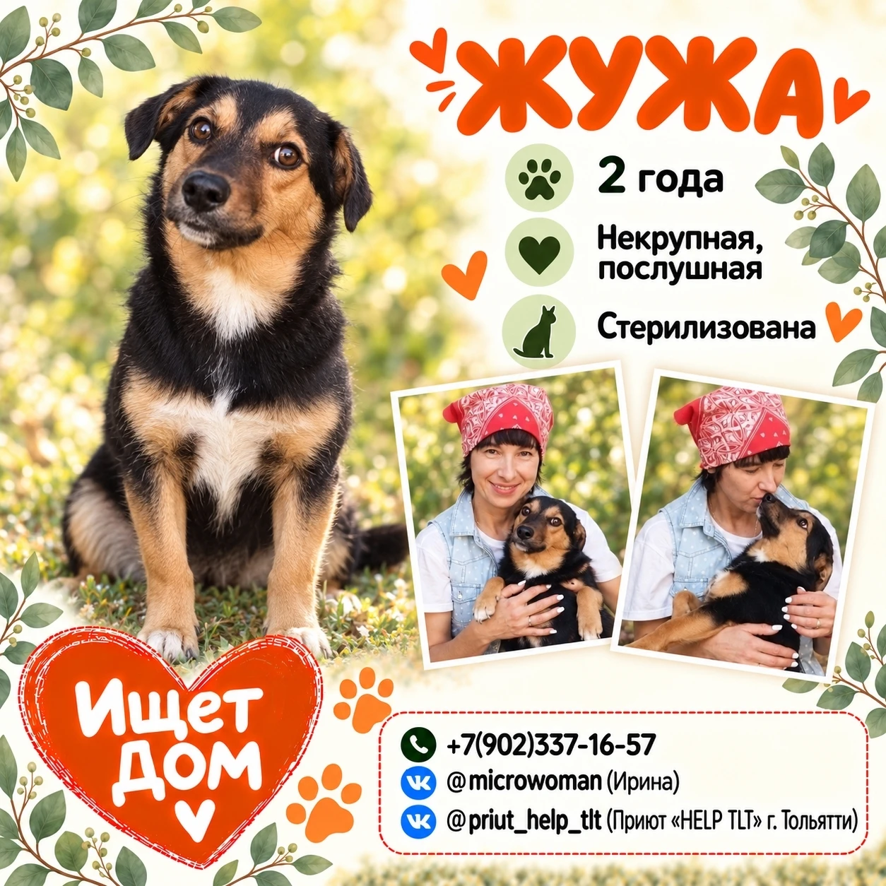 🐶 Друзья, посмотрите, как Жужа прижимается к человеку. Ей бы так и жить рядом со своей...