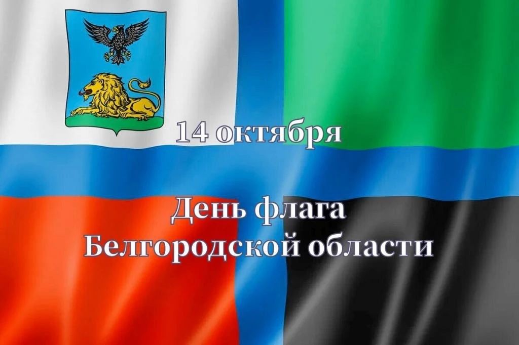 14 октября ежегодно отмечается большой праздник для всех белгородцев - День флага Белго...