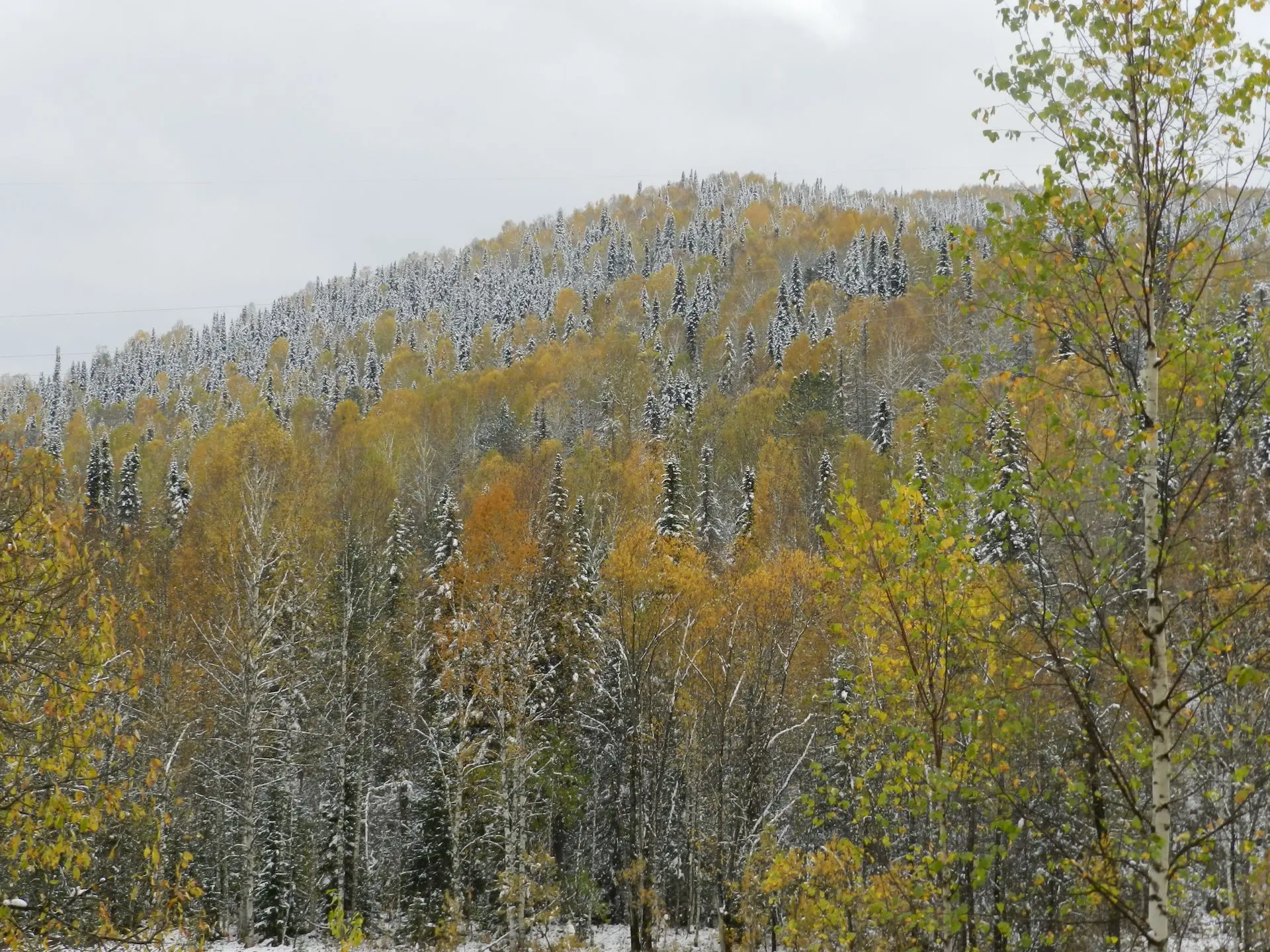 В этот день 4 года назад.