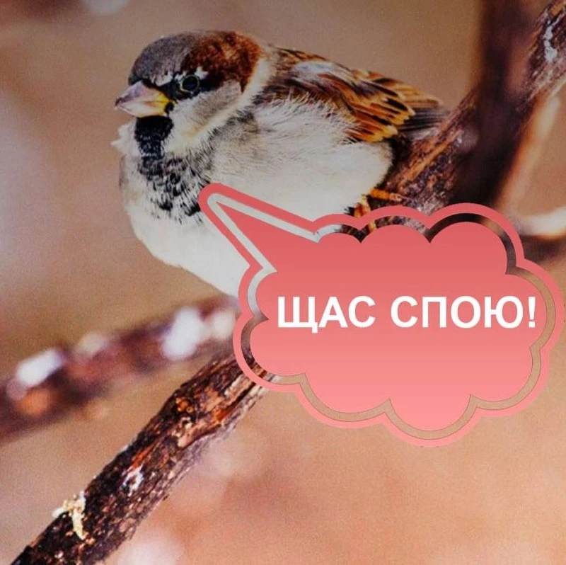Сегодня уже совсем скоро — в 10:45 — будут проверять систему оповещения населения 🔊
