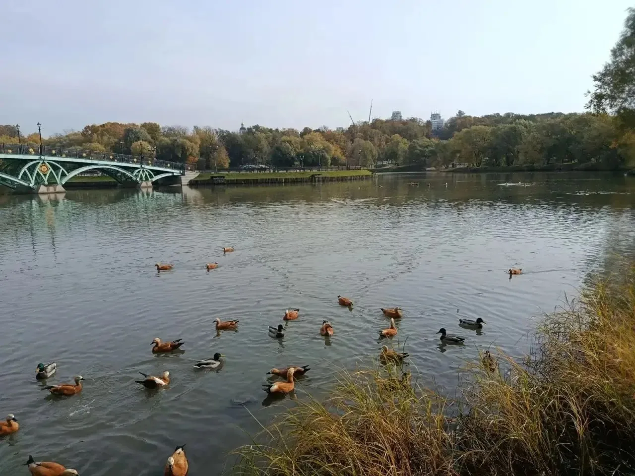 🍁 Уроки за пределами школьных стен! 🍂