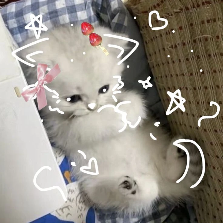 ｡ﾟ•┈୨ⲁⲃы ⲥ ⲕⲟⲧυⲕⲁⲙυ୧┈• ｡ﾟ