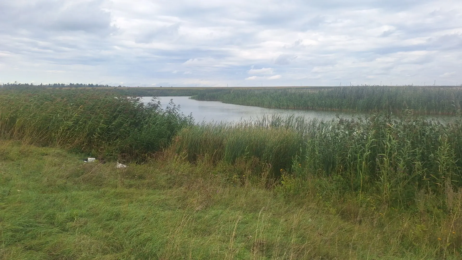 Самолюбие — это не когда ты считаешь себя лучшим. А когда не отдаёшь себя на растерзани...