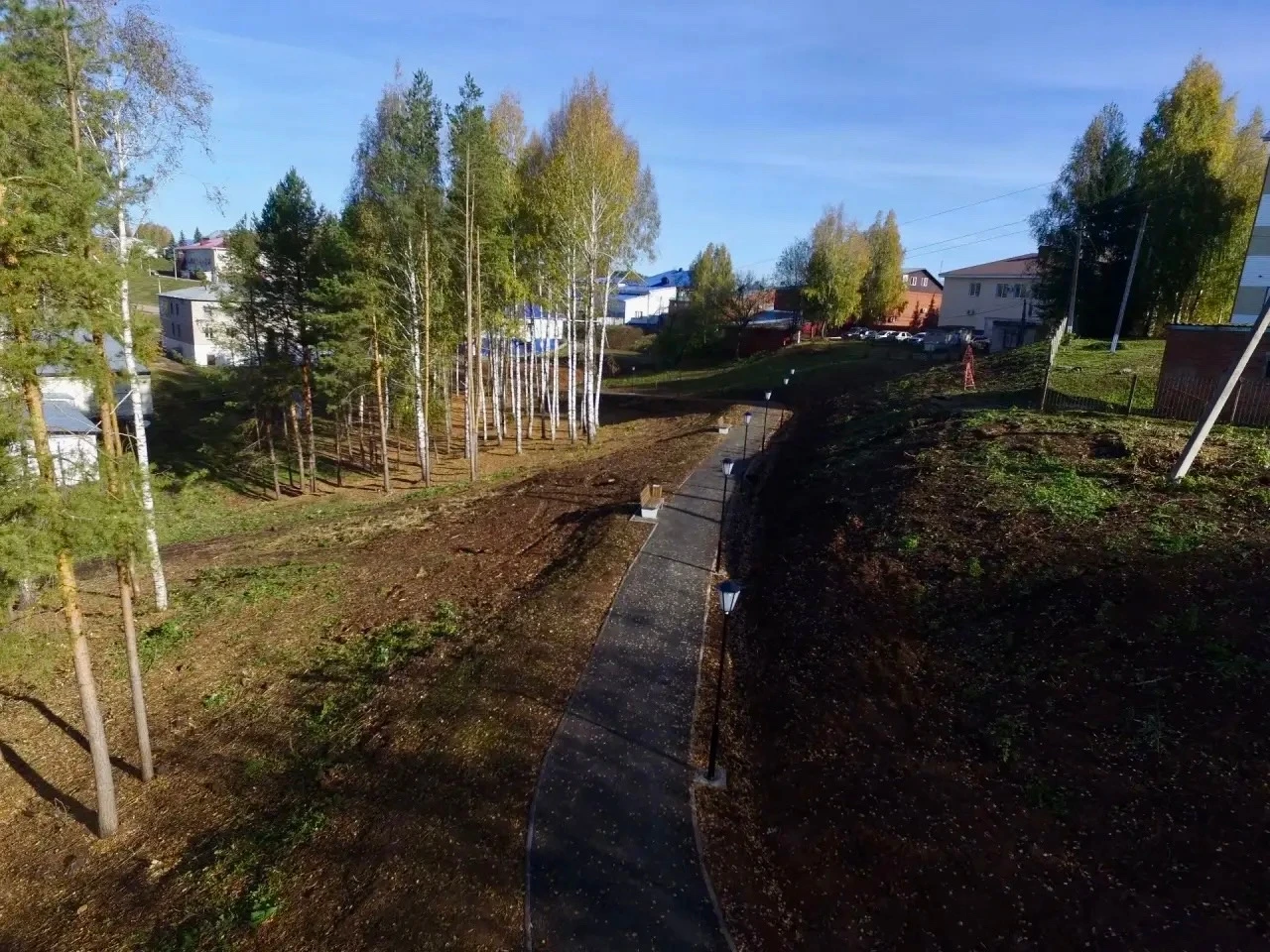 🚶‍♂️🌲 А давайте еще немного пройдемся?