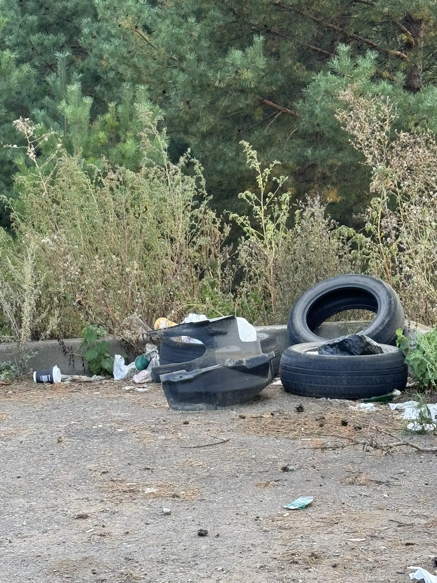 Это было начало можно сказать🤬