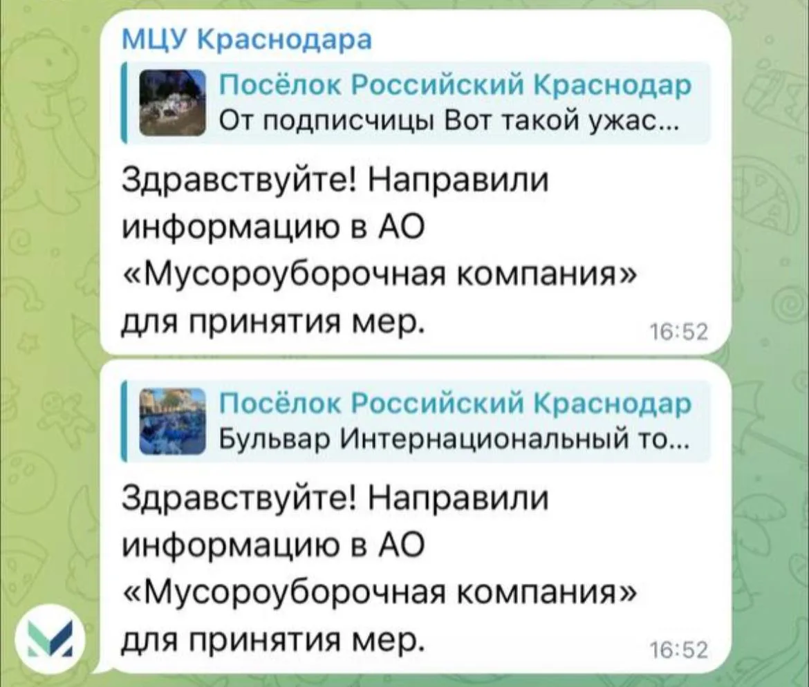 Ответы от МЦУ на наши недавние публикации.