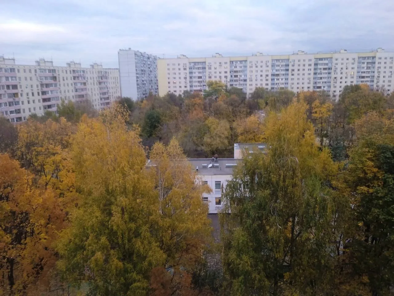 Ореховый и Борисовский проезды, Шипиловская улица 🍂
