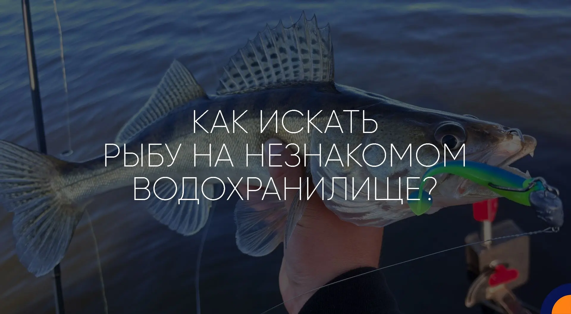 Как искать рыбу на незнакомом водохранилище?