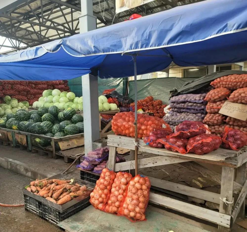 🥔 Свежие овощи от костромских производителей — без наценок и посредников