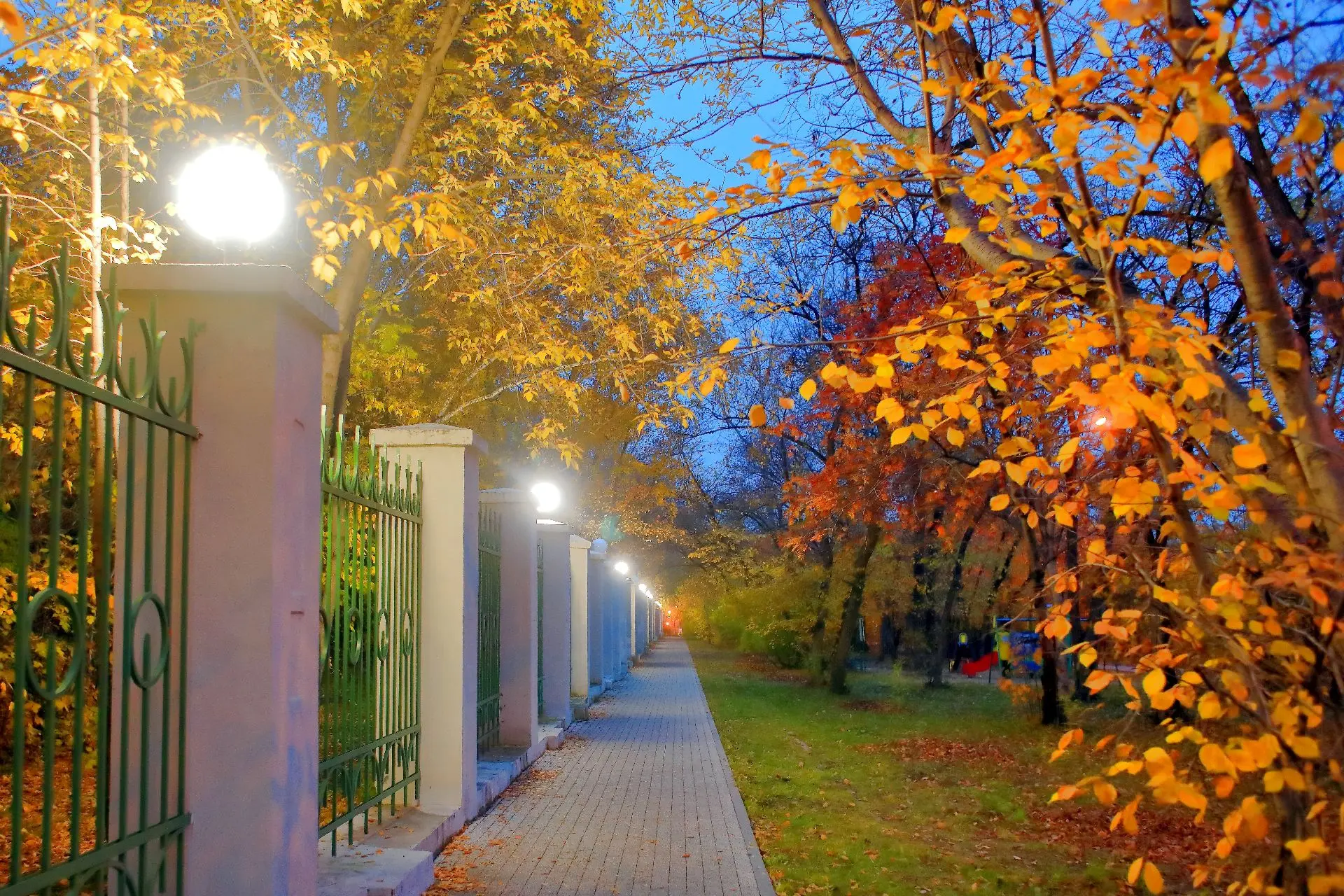 🌙 Доброй ночи, Иркутск!