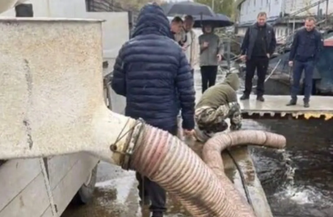 🐟 В Мытищах выпустили 42 125 мальков сазана в Клязьминское водохранилище