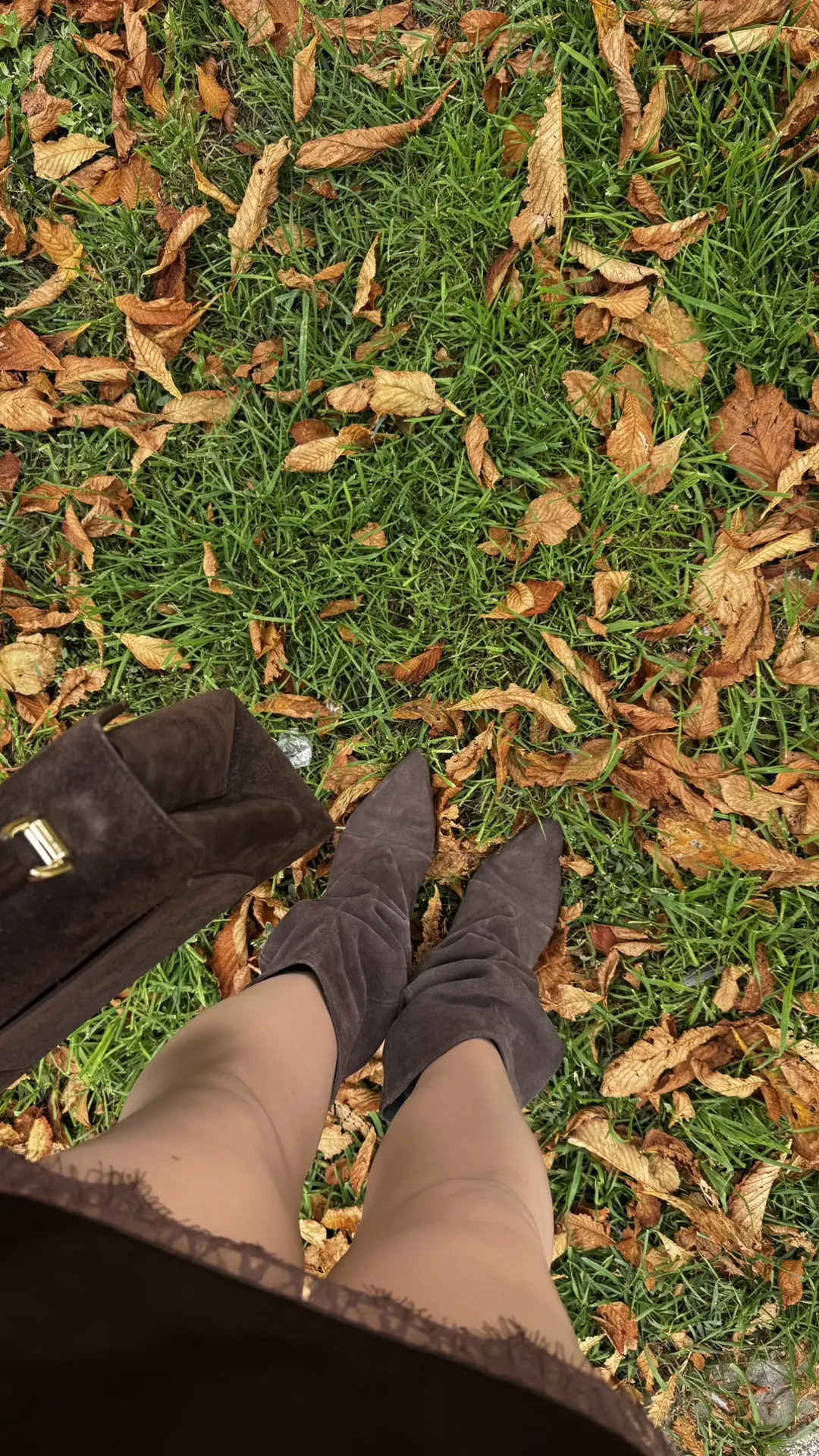 Photo dump вчерашнего дня 🍁