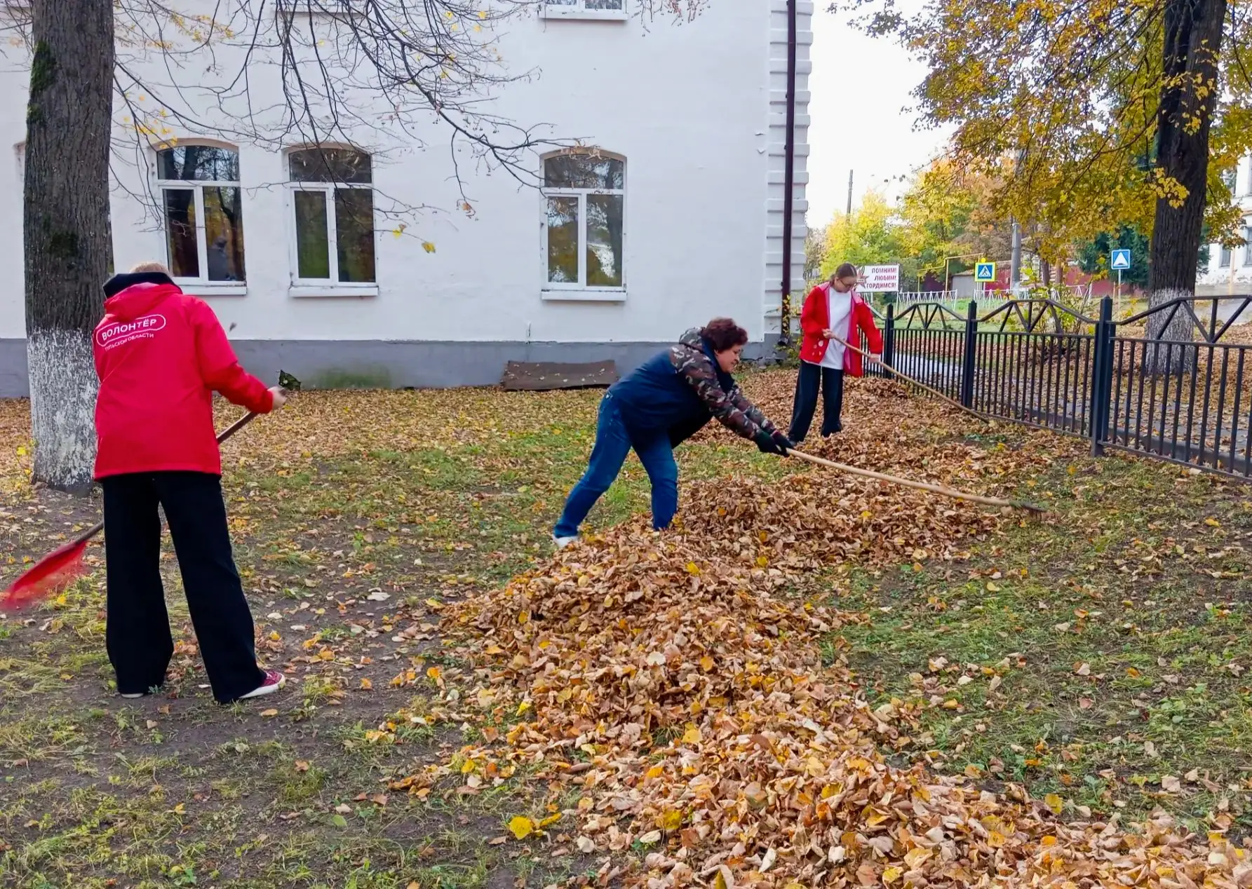 "Осенняя неделя добра"