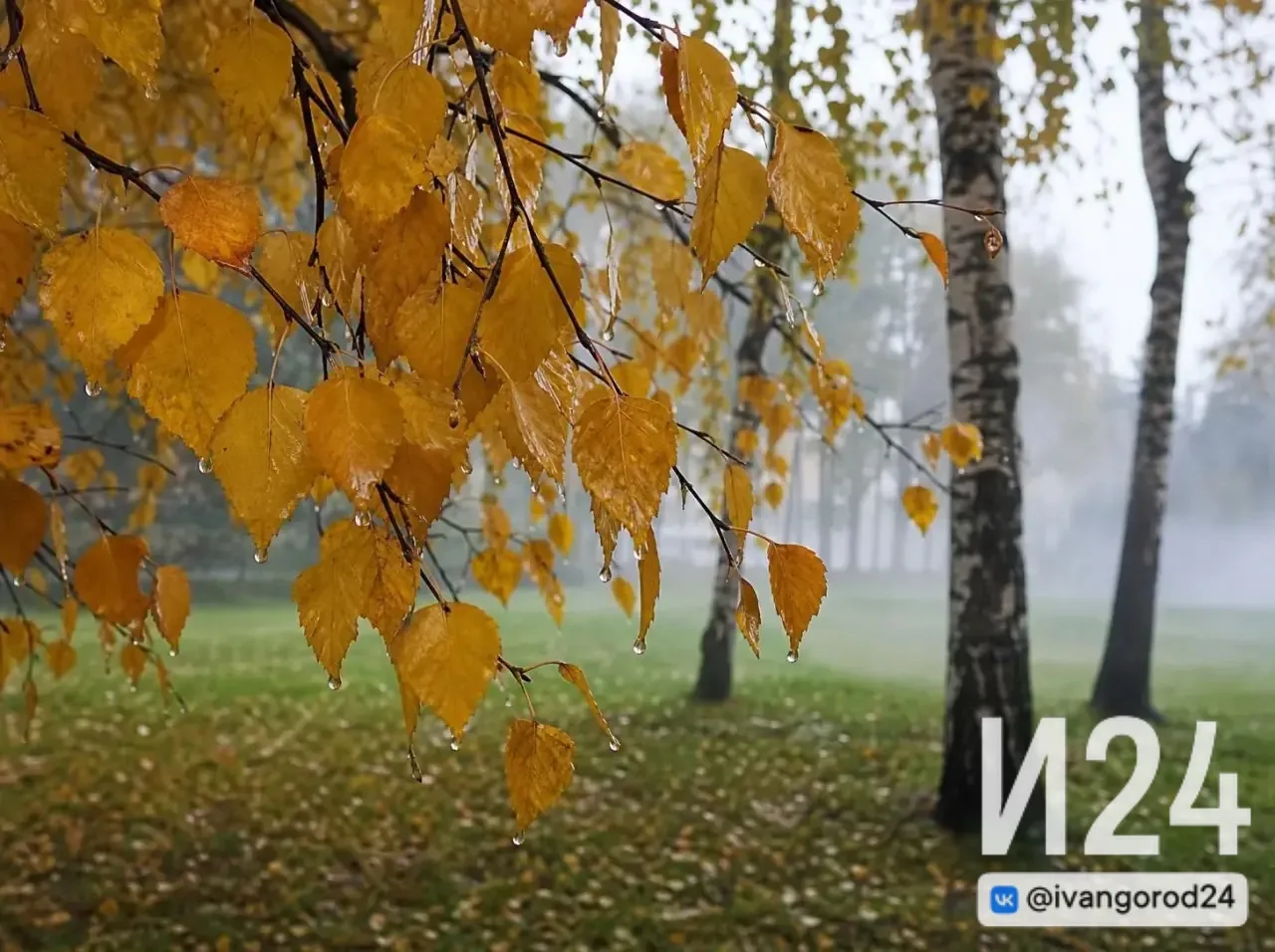 🌥️ Ивангород, доброе утро!