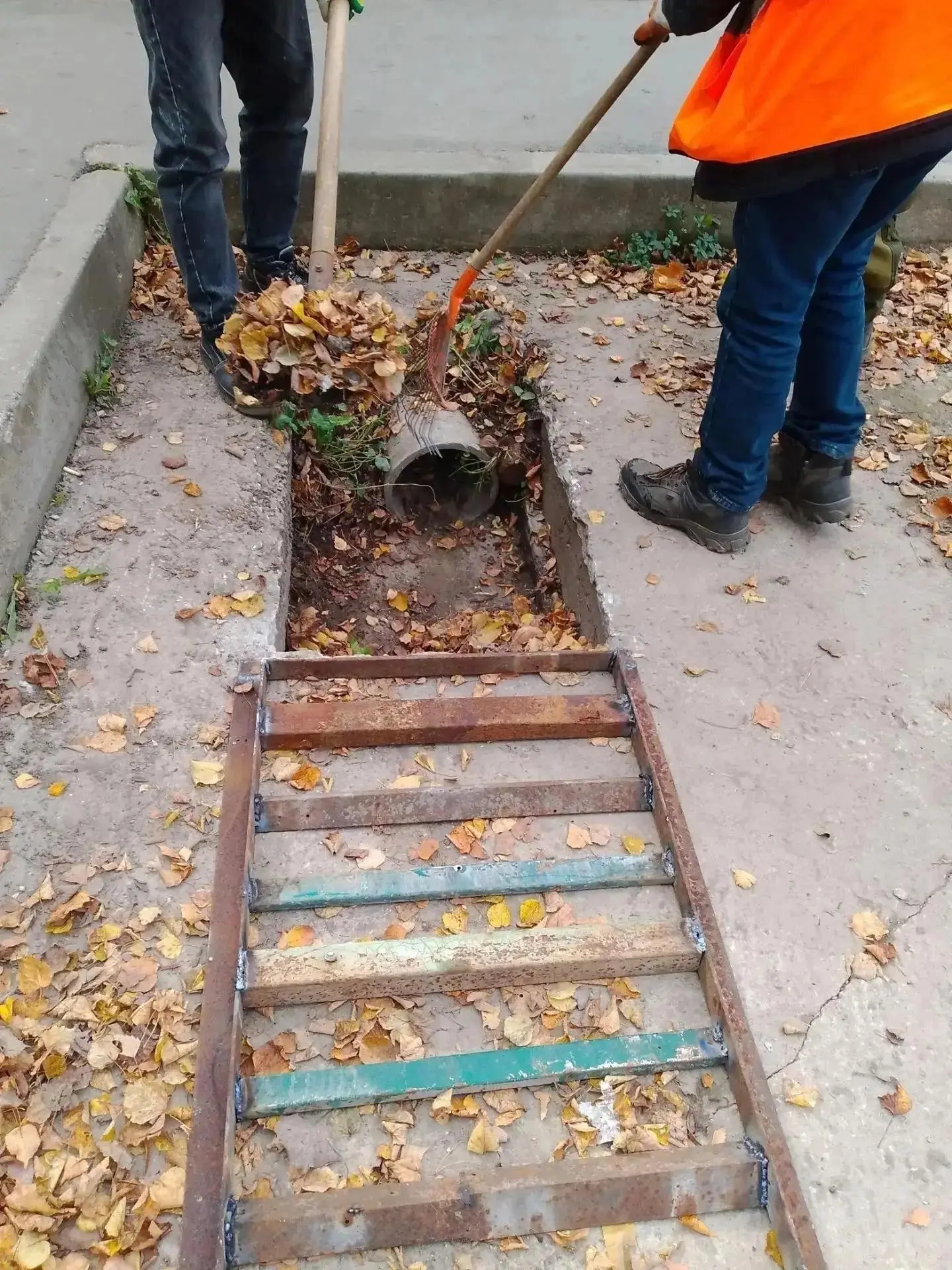 Группа родителей микрорайона Бор выражает искреннюю благодарность губернатору Дмитрию В...