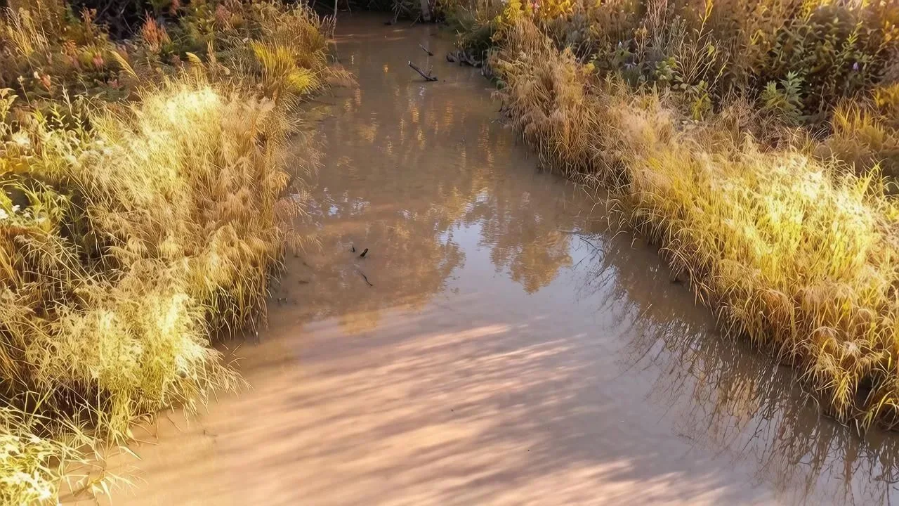#эконадзор