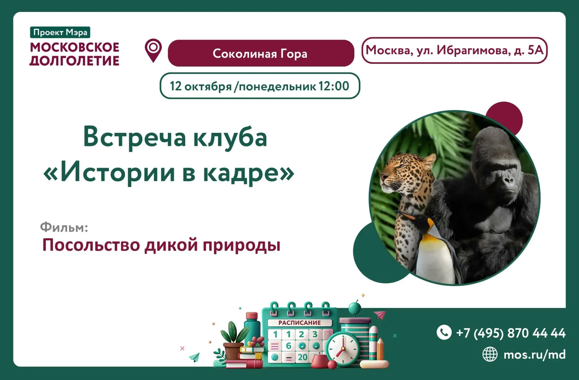 Дорогие любители кино и ценители искусства! 🎥
