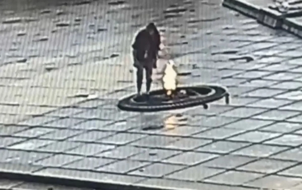 В Калининграде перед судом предстанет осквернитель мемориала 1200 гвардейцам