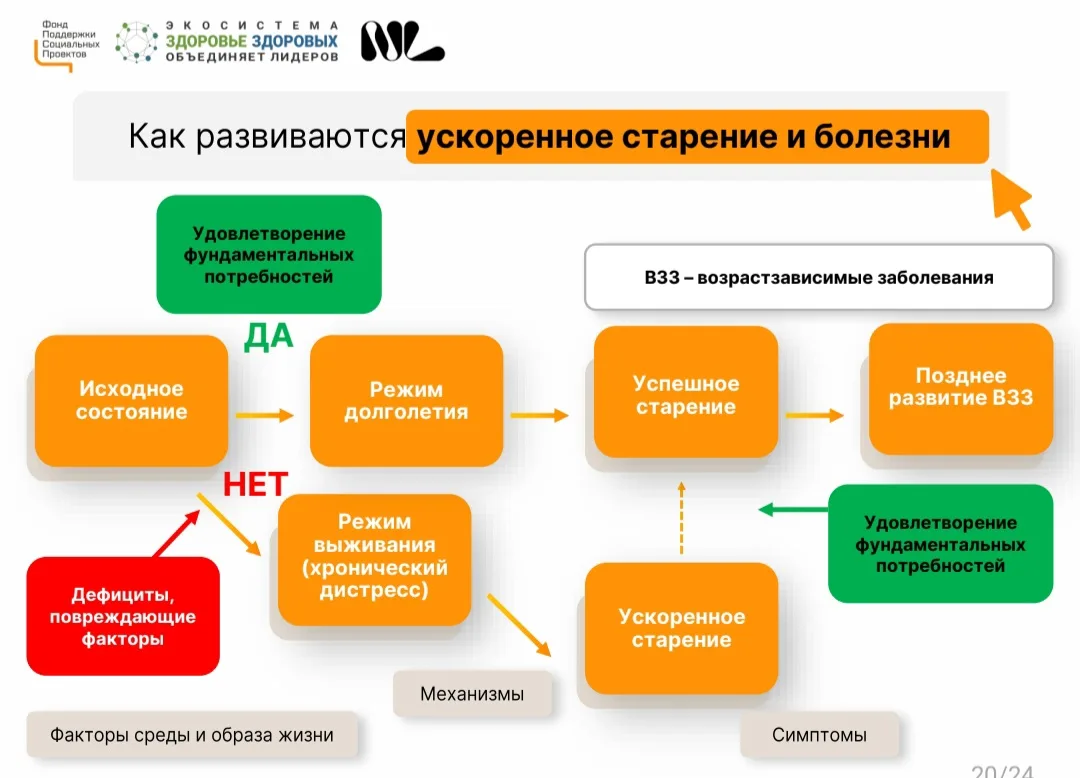 Мы стареем быстрее, чем должны. И это не приговор