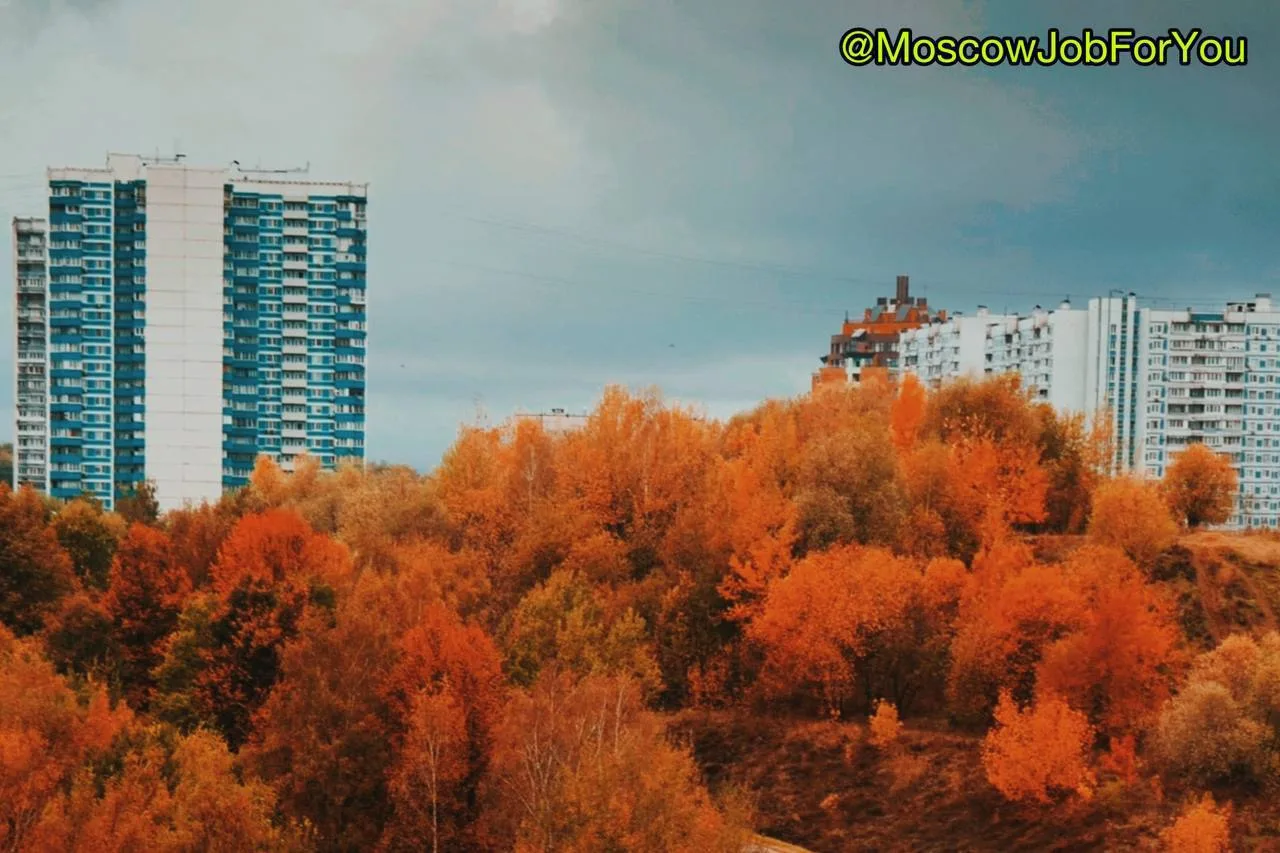 #Няня-#помощница по дому (130 000 ₽)