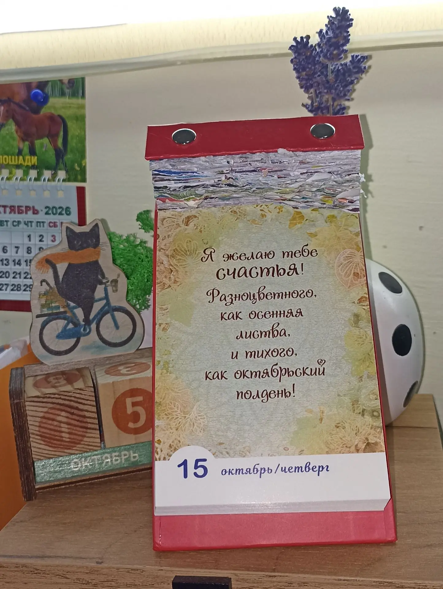 Доброе утро, друзья! 🫶