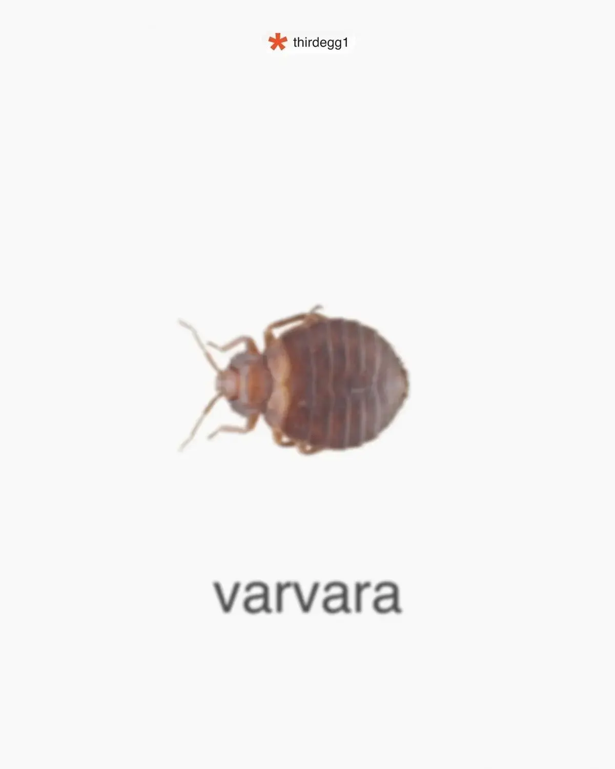 кидай варваре