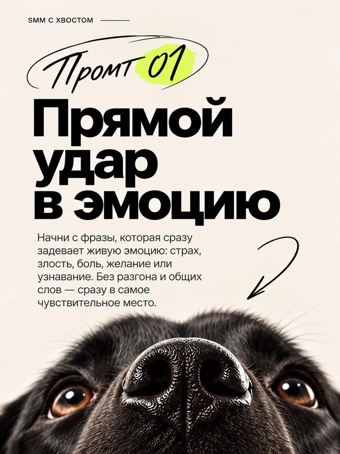Действительно полезные промты для ChatGPT