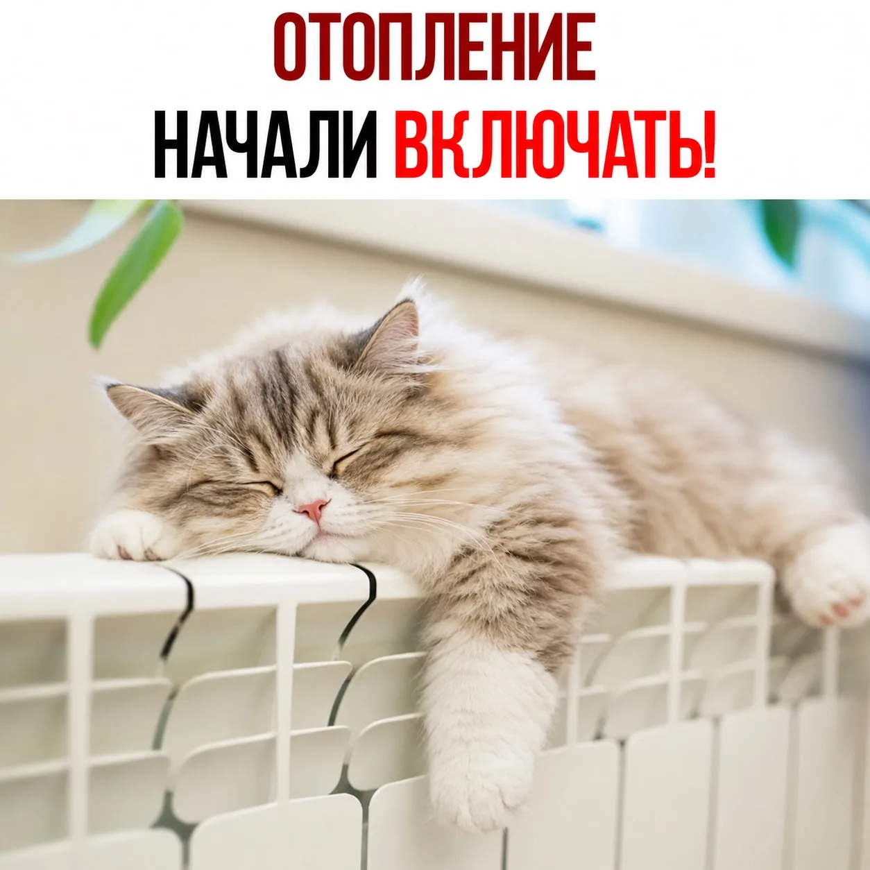🔥 Отопительный сезон стартовал в Ростовской области - батареи начали теплеть