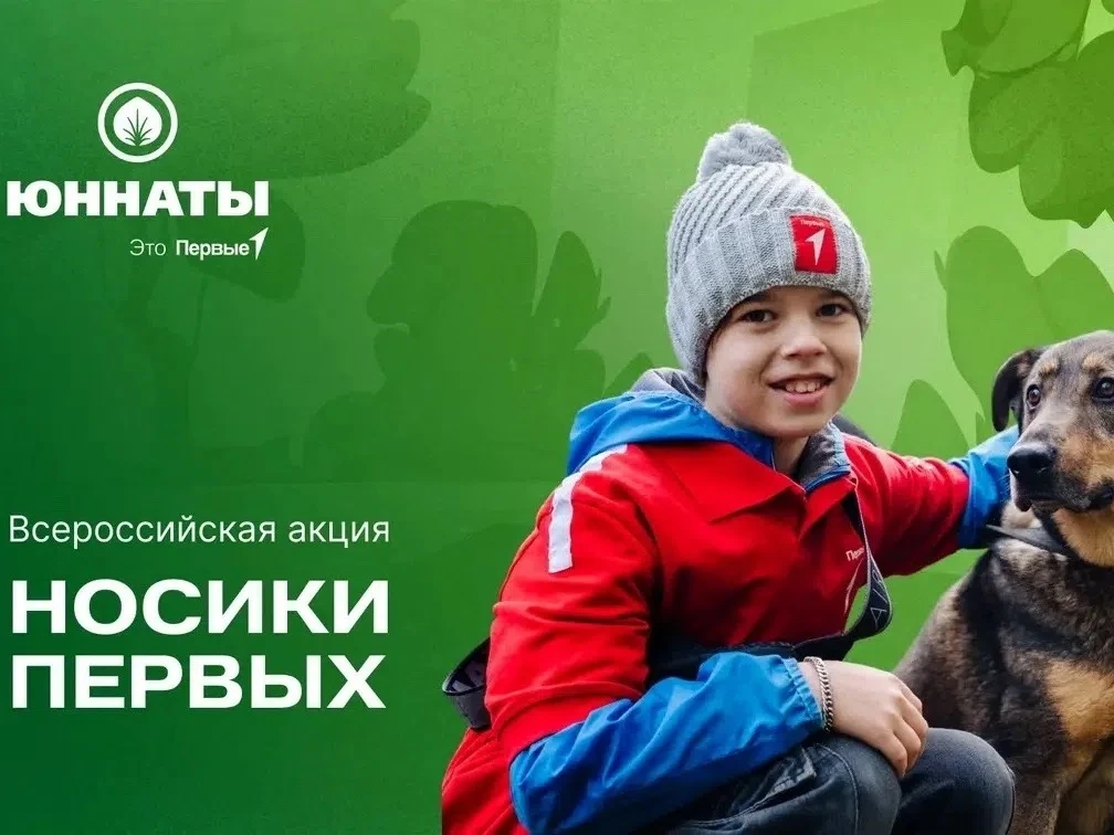 https://vk.ru/wall-161901431_11971