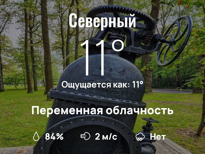 Что с погодой в Северном?