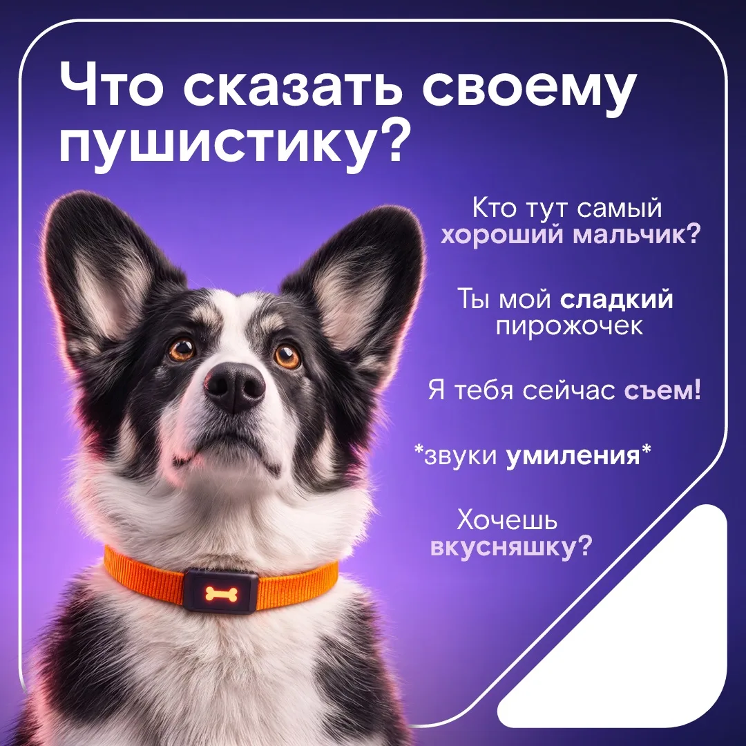 ⭐️ Единственный, кто не осудит за сюсюканье…