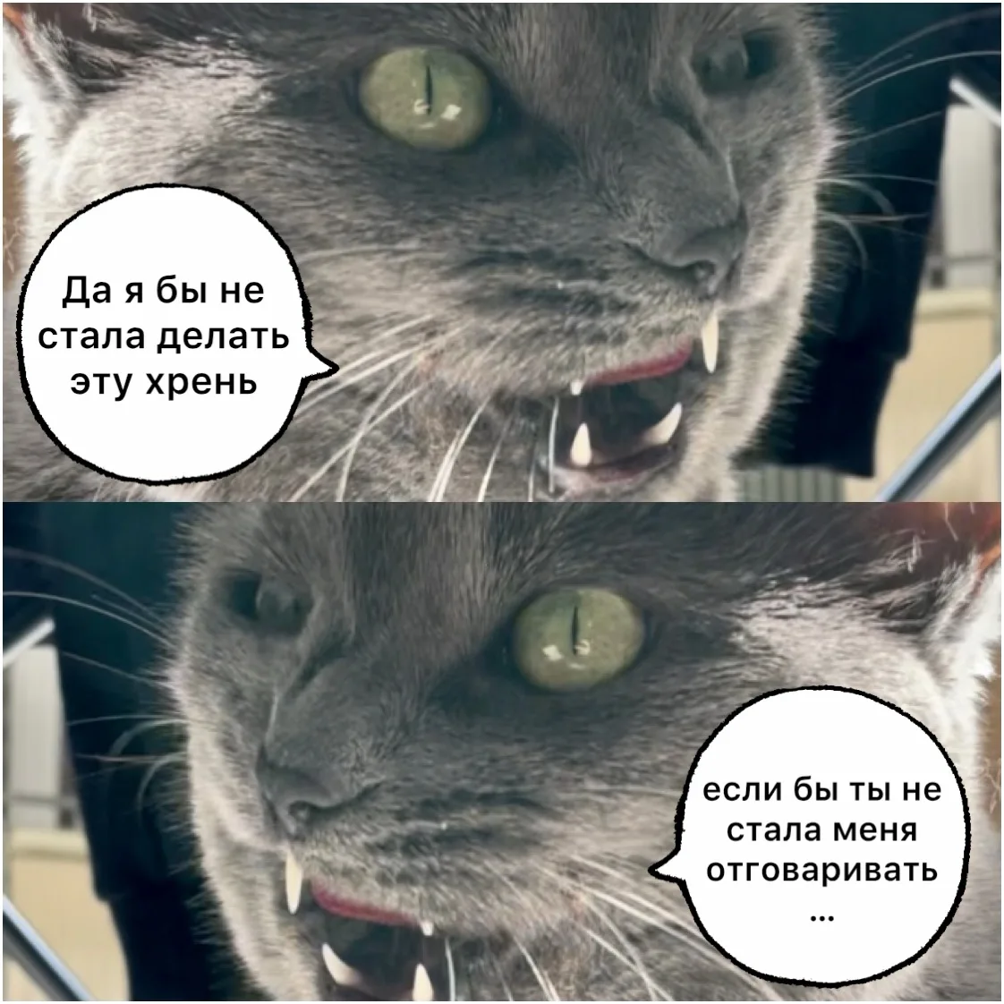 Так что ты виновата!