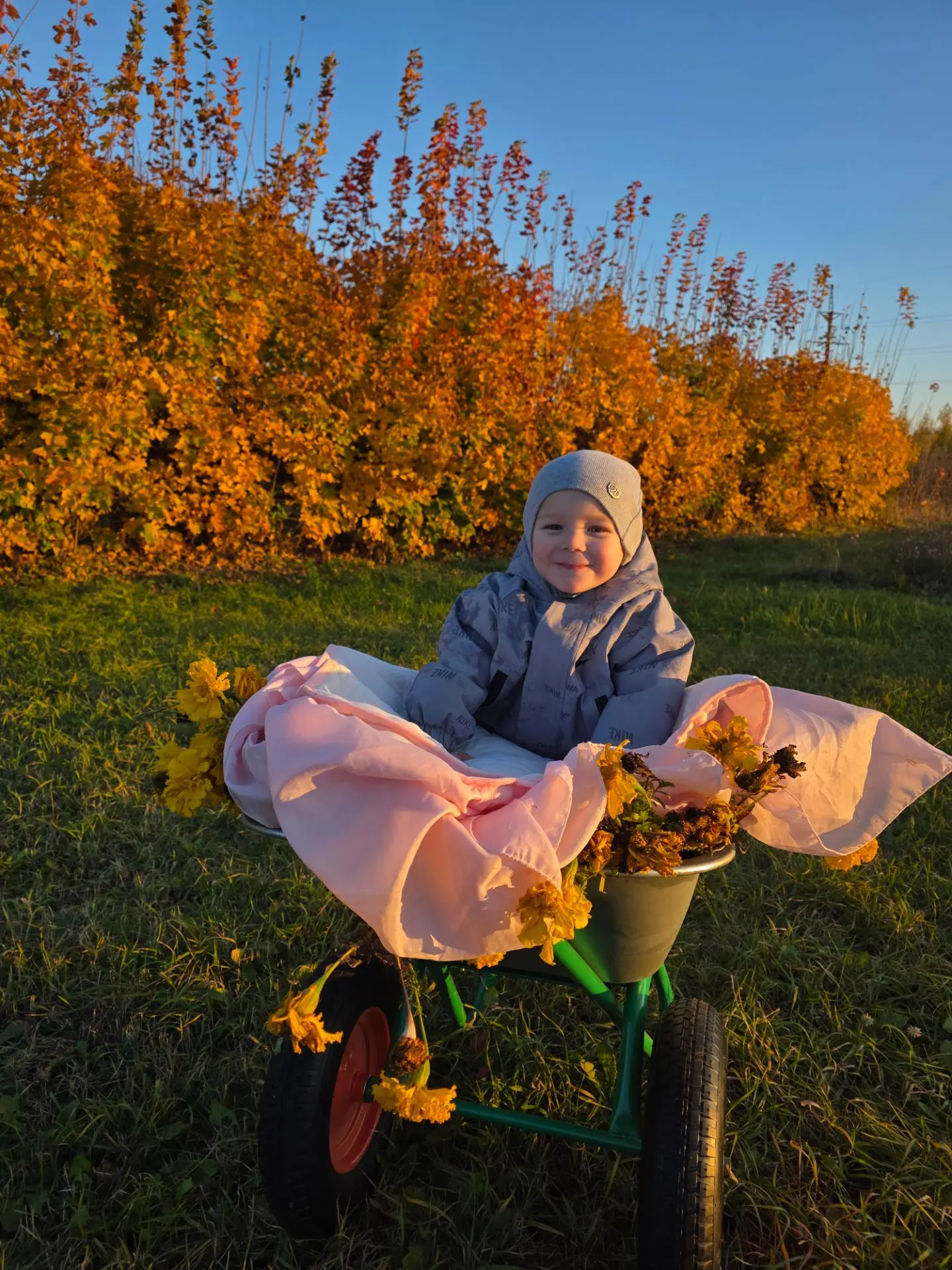 Во время уборки главное- покататься на тачке✅😁