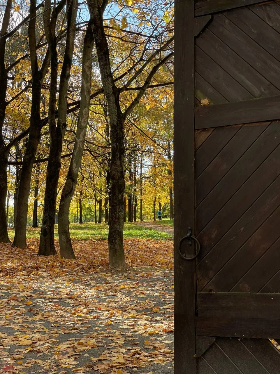 Унылая пора, очей очарованье 🍁