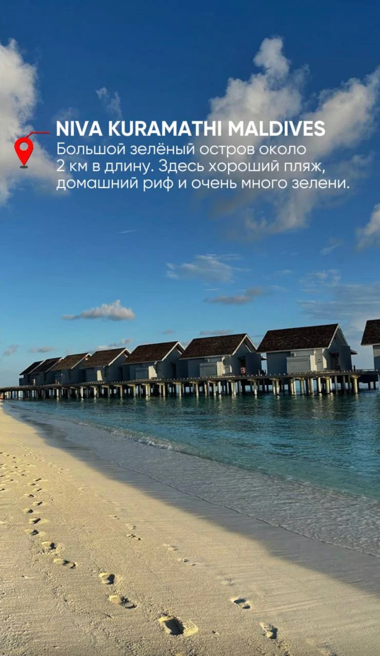 💚Большой зелёный остров, отличный пляж, домашний риф и та самая мальдивская песчаная к...