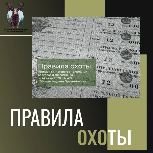 Правила охоты  при осуществлении охоты на пушных животных