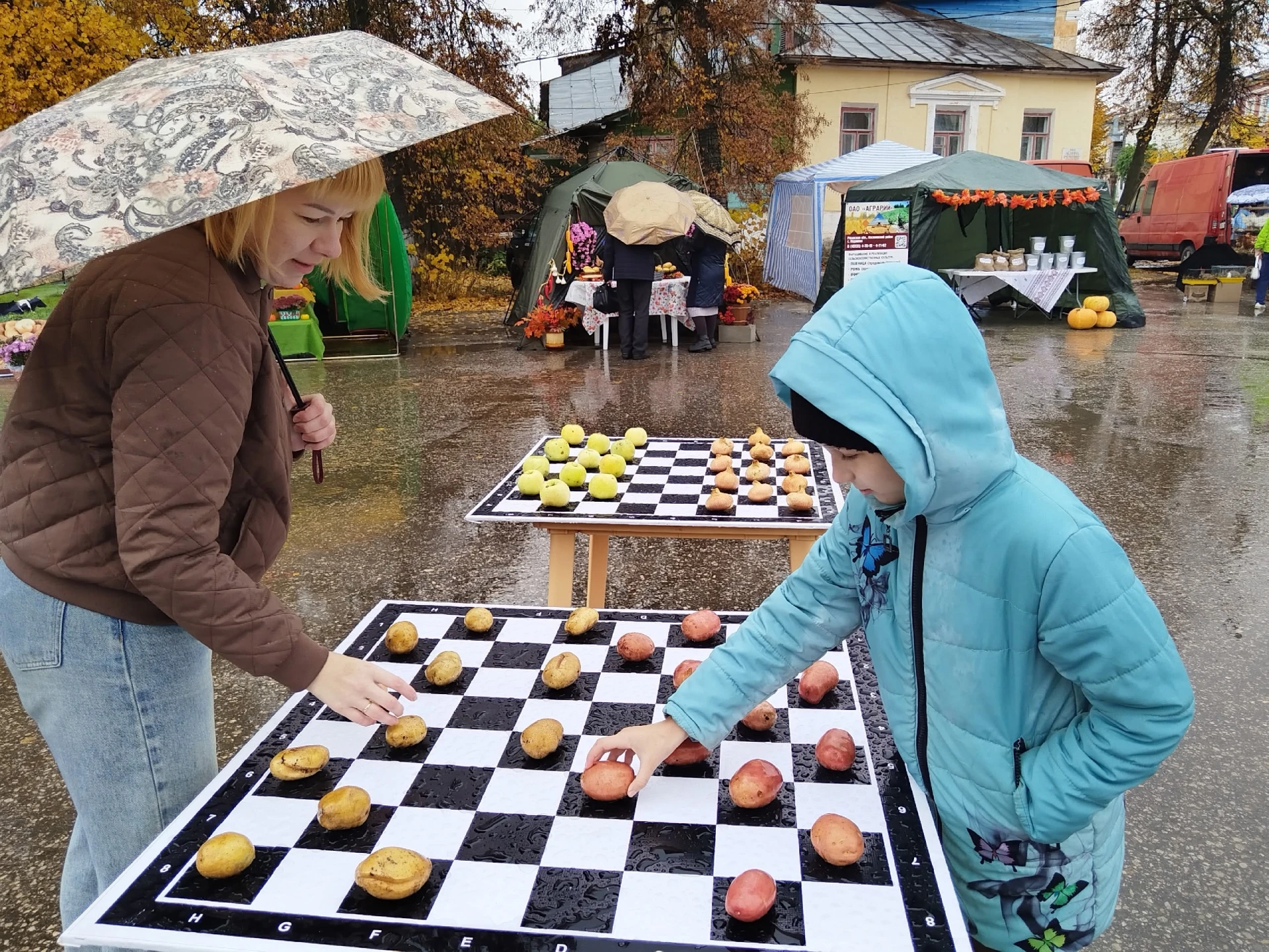 🥔 Ещё один нишевый фестиваль, который хочется посетить. Праздник урожая «Касимовский к...