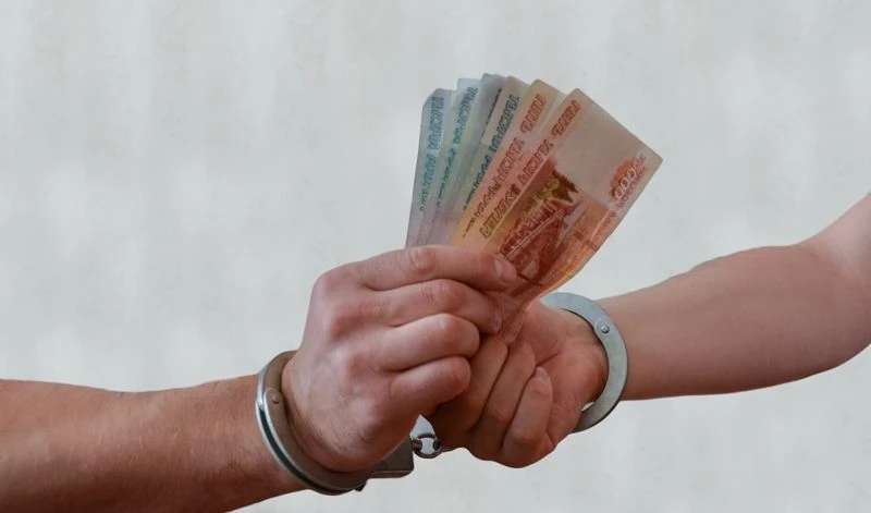 Дроп-курьерша из Подмосковья забрала 1 миллион у смоленского студента