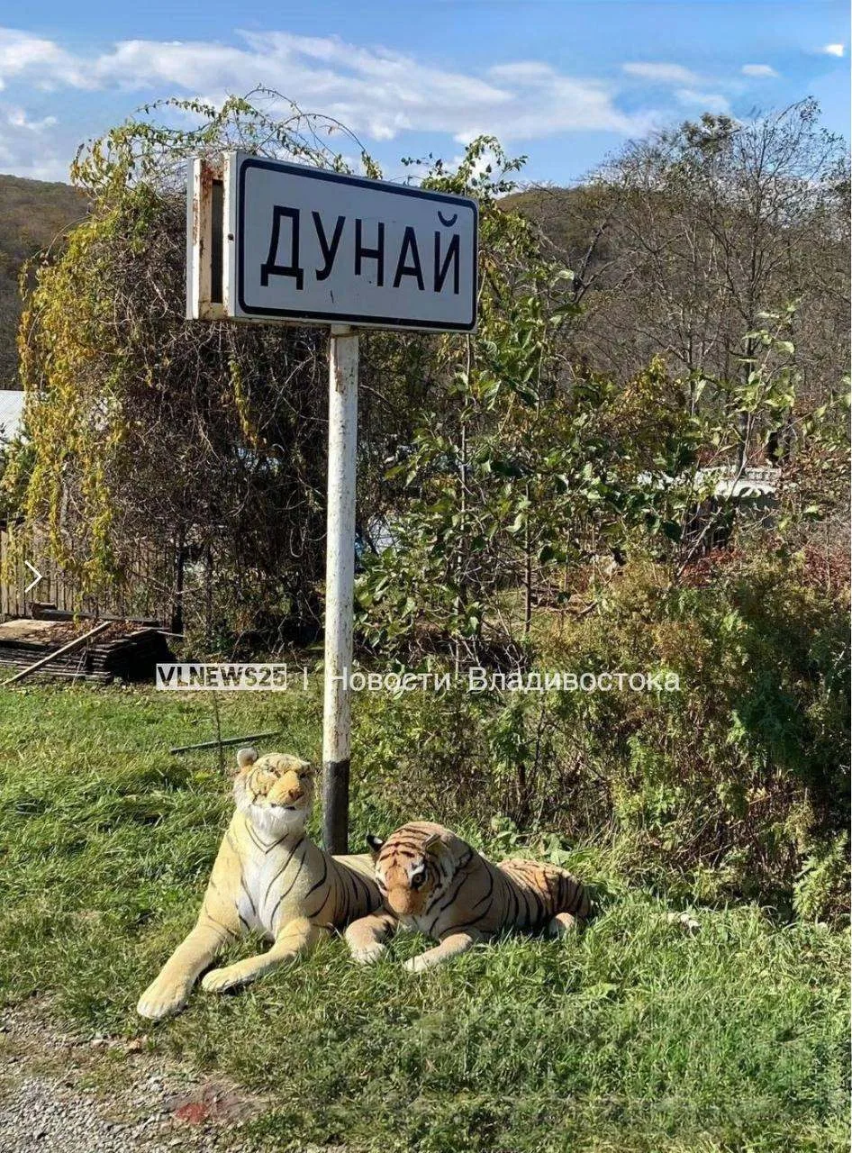 Необычная "охрана" появилась на въезде в поселок Дунай в Приморье