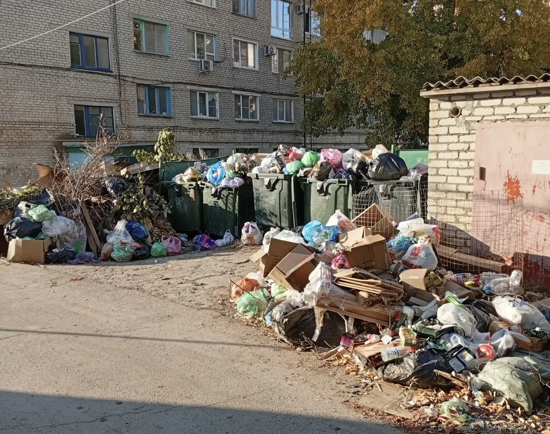 Нам пишут: «И вот опять» — мусорный коллапс в самом центре Михайловки 🗑👇