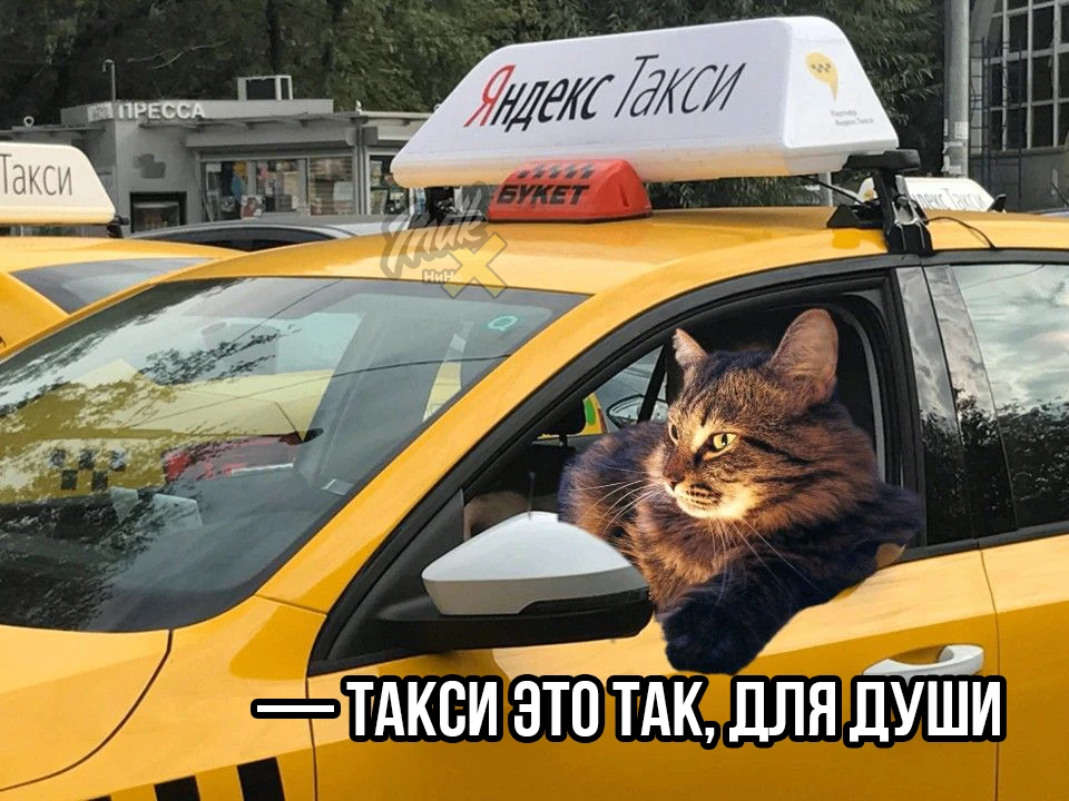 🚔Начальника отдела по борьбе с наркотиками уволили, потому что он таксовал и развозил ...